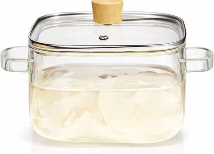 Borosilicate Glass Cooking Pot with Lid & Handle - SABER Center