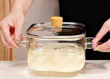 Borosilicate Glass Cooking Pot with Lid & Handle - SABER Center
