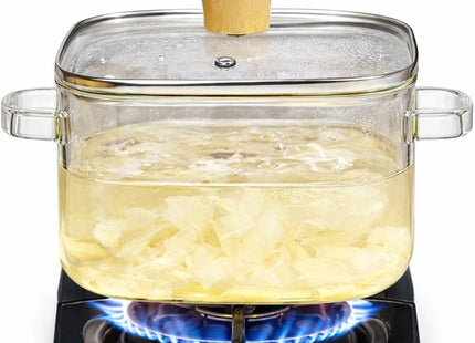 Borosilicate Glass Cooking Pot with Lid & Handle - SABER Center