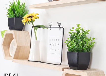 Der Rose Artificial Potted Plants, 2-Pack, Faux Decor, Black - SABER Center
