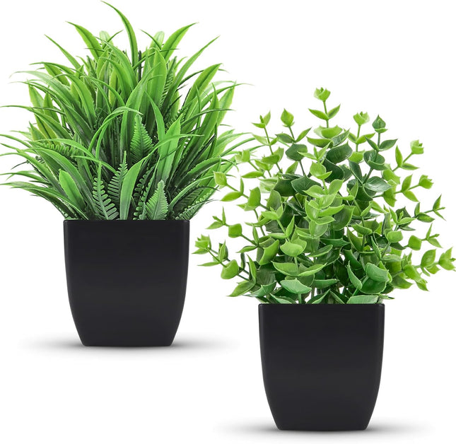 Der Rose Artificial Potted Plants, 2-Pack, Faux Decor, Black - SABER Center