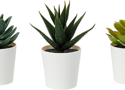 Ikea Vijac Artificial Succulent Plants in Pot, 6cm, 3-Pack - 203.953.31 - SABER Center
