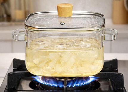 Borosilicate Glass Cooking Pot with Lid & Handle - SABER Center