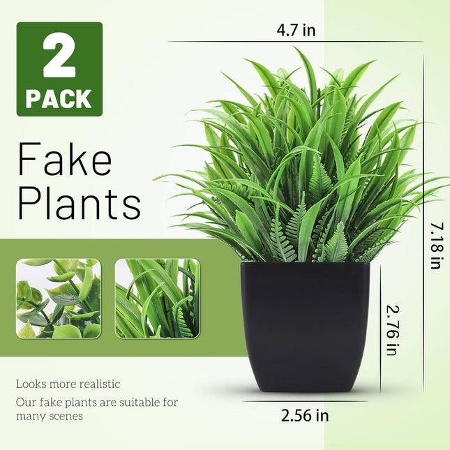 Der Rose Artificial Potted Plants, 2-Pack, Faux Decor, Black - SABER Center
